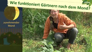 Mondgärtnern – Gärtnern im Einklang mit der Natur  MDR [upl. by Wittenburg]