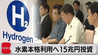 15年で15兆円投資へ 水素基本戦略改定（2023年6月6日） [upl. by Sihonn718]