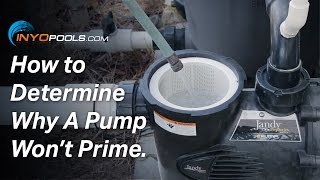 How To Determine Why A Pool Pump Wont Prime [upl. by Atniuq135]