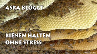 Bienen halten ohne Stress [upl. by Oned256]