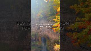 BEAUTIFUL FALL COLOURS AT DUNDAS PEAK 😍🍂 [upl. by Eannej471]