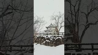 日本環島旅行｜百大名城｜青森縣Aomori｜弘前城 Hirosaki Castle ｜現存12天守閣｜Travelling in Japan｜日本旅遊 [upl. by Etnoled]