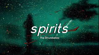 The Strumbellas  Spirits Slowed  Lyrics [upl. by Eolc674]