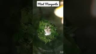 Mint Margarita  Ramzan refreshing drink [upl. by Aynuat]