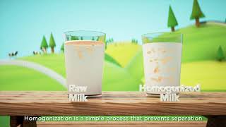 Why is Long Life Milk homogenised [upl. by Uno970]