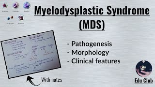 Myelodysplastic Syndrome  MDS  Pathology [upl. by Amity746]