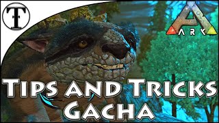 Fast Gacha Taming Guide  Ark  Survival Evolved Tips and Tricks [upl. by Yrahk880]