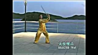 Tai Chi Stick 18 Form [upl. by Nipsirc]