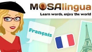 Mosalingua French Learning Program Review All levels [upl. by Mill975]