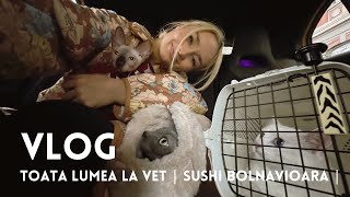 VLOG  Sushi bolnavioara  O recomandare de film [upl. by Natsyrk]