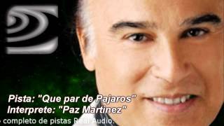 Que par de pajaros  Paz Martinez  Pista Instrumental Karaoke  Calamusic studio [upl. by Airitac]