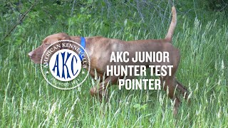 AKC Junior Hunter Test for Pointing Breeds  Intro to Dog Sports [upl. by Asirac]