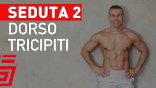 Seduta Ipertrofia Dorso e Tricipiti con ManubriBilanciere  Palestra in Casa [upl. by Teleya]