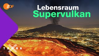 Leben mit dem Supervulkan  Terra X plus [upl. by Bomke446]