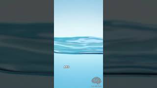 How Is Water Reflective  The Science of Reflections shorts [upl. by Gnud]