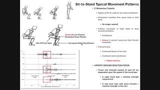 Biomechanics and Events of the SittoStand [upl. by Izzy502]