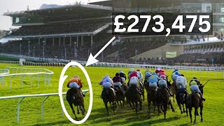 7 Cheltenham Festival Gambles That Beat the Bookies [upl. by Shepley]