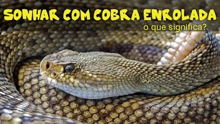 SONHAR COM COBRA ENROLADA  o que significa [upl. by Awra590]