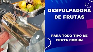 DESPULPADORA DE FRUTAS FUNCIONAMIENTO Y LIMPIEZA [upl. by Capps]