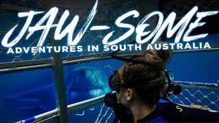 SHARK CAGE DIVING 🦈 GREAT WHITE SHARKS amp AUSTRALIAN SEA LIONS Port Lincoln South Australia [upl. by Ecadnarb]