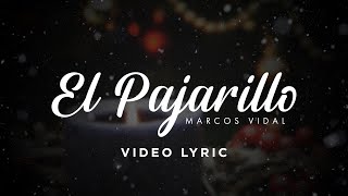 Marcos Vidal  El Pajarillo Video Lyric [upl. by Crispa]