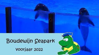 Boudewijn Seapark 2022 [upl. by Auqinat]