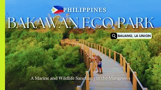 The Secret Mangroves of Bauang La Union Bakawan Eco Park Philippines Travel Guide [upl. by Adnahsor]