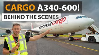 World’s ONLY A340600 Cargo Fleet Exclusive Behind the Scenes [upl. by Tisbee]