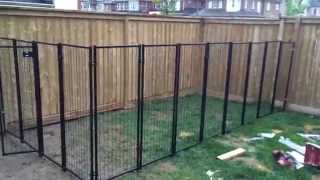 Backyard Renovation Building the Dog Fence part 2 [upl. by Nathaniel]