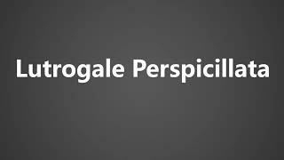 How To Pronounce Lutrogale Perspicillata [upl. by Ynohtn]