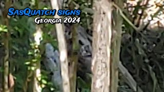 Tracking Signs of Sasquatch Georgia Bigfoot expedition [upl. by Leshia]