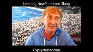 Learning Newfoundland Slang [upl. by Macdonald]