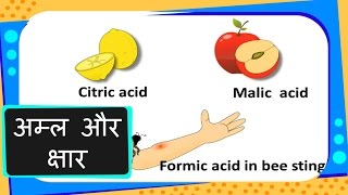 Science  What Are Acid And Base and their Basic Properties  Hindi [upl. by Layor]