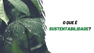 O QUE é SUSTENTABILIDADE [upl. by Atiral]