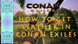 Conan Exiles  How to Make Leather and Thick Leather and Use the Tannery [upl. by Xonel731]