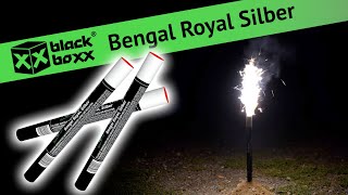 Blackboxx  Bengal Royal Silber [upl. by Ardnaek]