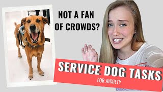 ANXIETY Service Dog Tasks  CROWD CONTROL [upl. by Drofnats986]