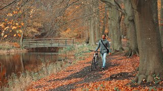 Exploring the beauty of THE HAGUE  My first days in The Netherlands [upl. by Ecirb564]