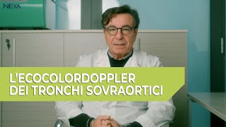 LEcoColorDoppler dei Tronchi Sovraortici TSA  a cura del Dott Michele Casamassima [upl. by Fortunio]