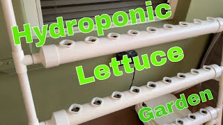 Hydroponic Grow Kit from EBAY  Full Assembly [upl. by Zohar]