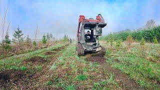 PLANTING 1000 TREES Tree Nursery Farm  All Bare Root Trees Spring Planting [upl. by Eeluj]