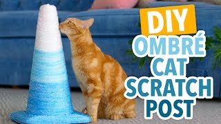 DIY Ombré Cat Scratching Post  HGTV Handmade [upl. by Platto]