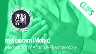 Meloxicam Mechanism of Action amp Pharmacology  Drug Cards Daily Clips [upl. by Dugaid]