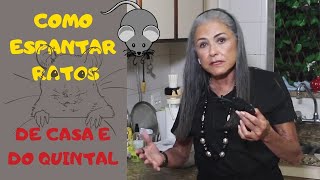 COMO ESPANTAR RATOS  DE CASA E DO QUINTAL [upl. by Lyndell460]