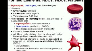 Anatomy  Basics of the Formed Elements RBCs WBCs amp Platelets [upl. by Ahseinat]