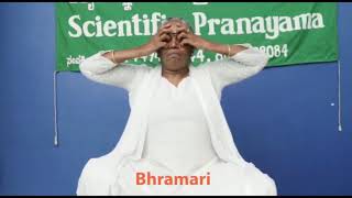 Bramari Pranayama English Audio [upl. by Rebeca]