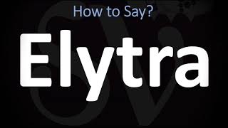 How to Pronounce Elytra CORRECTLY [upl. by Zoa]