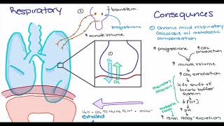 Maternal Changes in Pregnancy [upl. by Roger]