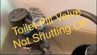 Toilet Fill Valve Not Shutting Off  Don’t Replace  Fix Fast Cheap amp Easy For Beginners [upl. by Orlena]