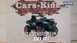 Как собрать электроквадроцикл XMX607 [upl. by Opportuna]